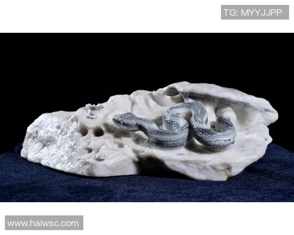 布伦森灵蛇出洞!空中换手戏耍防守献神仙球 布伦森灵蛇出洞!空中换手戏耍防守献神仙球